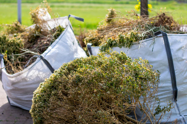 Best Yard Cleanup Services  in Versailles, IN