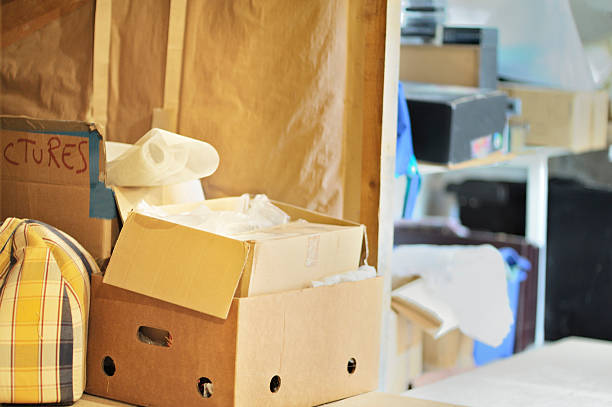 Best Commercial Cleanout Services  in Versailles, IN